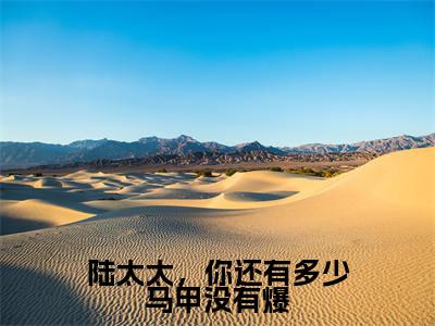 陆衍霆乔鸢全文免费大结局-陆太太,你还有多少马甲没有爆结局在线阅读