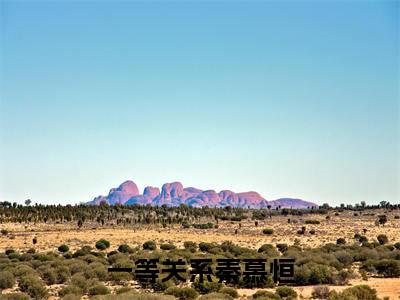 一等关系秦慕恒姜语秦慕恒免费阅读大结局无弹窗-一等关系秦慕恒小说推荐姜语秦慕恒精彩章节在线阅读