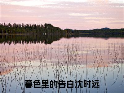 （暮色里的告白沈时远抖音小说）林暮雨沈时远小说全文阅读免费