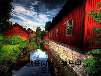 和前任闪婚，我马甲全掉了小说全文-和前任闪婚，我马甲全掉了（顾予苏怀）最新章节免费阅读