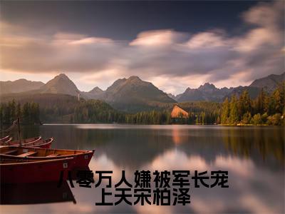 （八零万人嫌被军长宠上天宋柏泽）宋柏泽温冉全集小说完整版大结局_八零万人嫌被军长宠上天宋柏泽全文免费无弹窗最新章节列表_笔趣阁