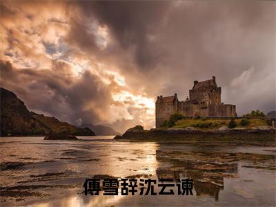 沈云谏傅雪辞（傅雪辞沈云谏）全文免费阅读无弹窗-傅雪辞沈云谏主角叫沈云谏傅雪辞的小说全章节免费阅读