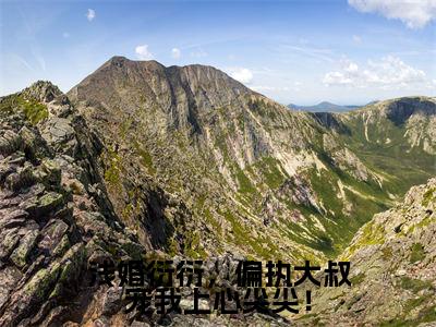 浅婚衍衍，偏执大叔宠我上心尖尖！小说全文免费阅读无弹窗，（苏团厉司寒）小说全文免费阅读
