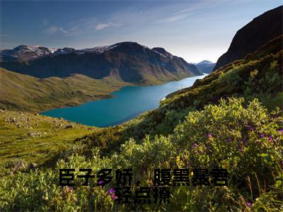 盛挽辞萧谌小说全文（臣子多娇，腹黑暴君轻点撩）全文免费阅读无弹窗大结局_臣子多娇，腹黑暴君轻点撩小说免费最新章节列表