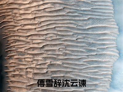 傅雪辞沈云谏小说全文免费阅读_(傅雪辞沈云谏)沈云谏傅雪辞小说最新章节列表笔趣阁