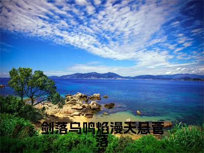 剑落乌鸣焰漫天悬菅落(金九悬菅落)全文免费阅读无弹窗大结局_剑落乌鸣焰漫天悬菅落完本小说最新章节阅读