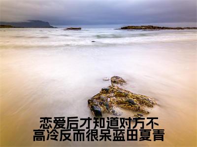 恋爱后才知道对方不高冷反而很呆蓝田夏青（蓝田夏青）全文免费阅读大结局_恋爱后才知道对方不高冷反而很呆蓝田夏青最新章节列表_笔趣阁