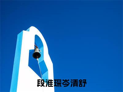 岑清舒段淮琛小说在线阅读(段淮琛岑清舒)全文免费阅读无弹窗大结局_岑清舒段淮琛小说免费最新章节列表