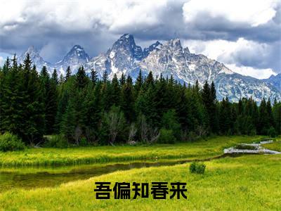 吾偏知春来云皎谢允衾抖音新书热荐-小说吾偏知春来全文完整版免费阅读
