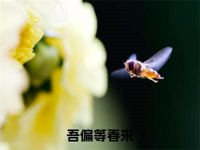 陆观谢夕颜(吾偏等春来)全文免费阅读大结局_吾偏等春来无弹窗最新章节列表