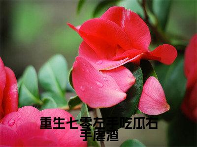 重生七零左手吃瓜右手虐渣(林未晚夜暨白)小说免费下载全本-重生七零左手吃瓜右手虐渣(林未晚夜暨白完整版)免费阅读