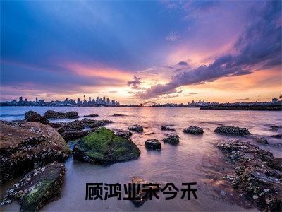 顾鸿业宋今禾（顾鸿业宋今禾）最新章节在线阅读抖音新书热荐顾鸿业宋今禾