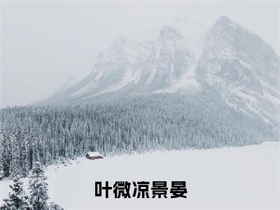 （叶微凉景晏）是什么小说-叶微凉景晏（叶微凉景晏）免费阅读大结局最新章节列表_笔趣阁