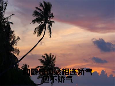 和霸总体感相连娇气包不娇气(舒笑笑萧逸风)全文免费阅读无弹窗大结局_舒笑笑萧逸风小说最新章节列表_笔趣阁