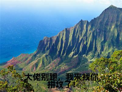 大佬别跑,我来找你拼坟了!全文免费阅读大结局_江愿顾清衍已完结全集大佬别跑,我来找你拼坟了!大结局小说