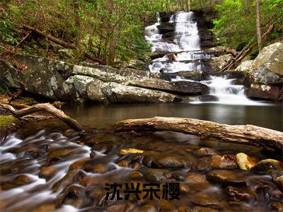 沈兴宋樱（宋樱沈兴）全网首发最新小说-主角宋樱沈兴全文在线免费阅读