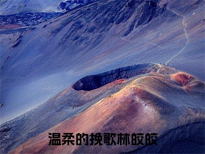 温柔的挽歌林皎皎(林皎皎)全文免费阅读无弹窗大结局_温柔的挽歌林皎皎最新章节完整版阅读