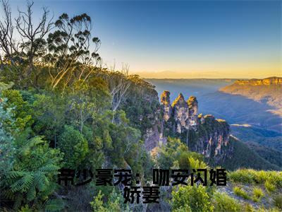 帝少豪宠：吻安闪婚娇妻（简晴）全文小说-帝少豪宠：吻安闪婚娇妻小说最新章节免费阅读