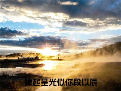 捧起星光似你段以辰（姜舒段以辰）小说免费无弹窗大结局-捧起星光似你段以辰小说全文完整版阅读