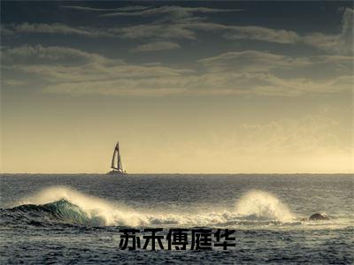 苏禾傅庭华苏禾傅庭华多人追免费无弹窗小说，苏禾傅庭华已完结全集大结局