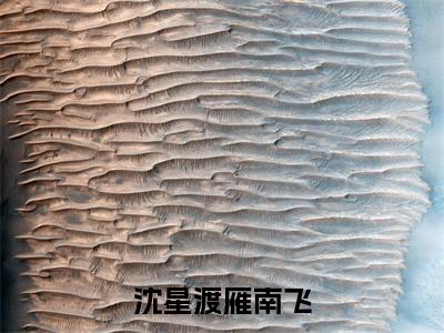 沈星渡雁南飞免费小说，沈星渡雁南飞全文免费阅读无弹窗大结局