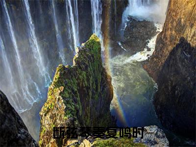 断弦琴奏复鸣时(沈悦陆止白)全文免费阅读无弹窗大结局_(沈悦陆止白免费阅读全文大结局)最新章节列表