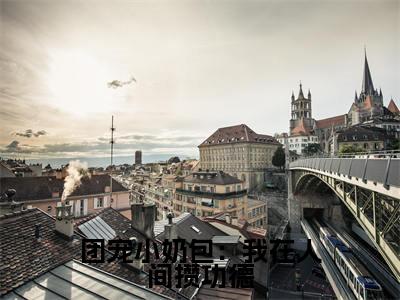 (团宠小奶包:我在人间攒功德)温珈洛新书热荐免费小说-温珈洛小说全文完整版阅读