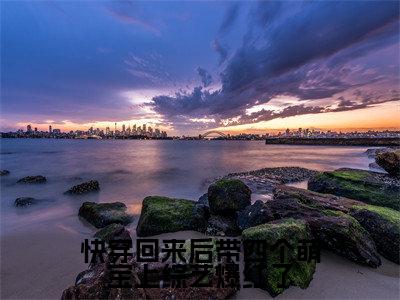快穿回来后带四个萌宝上综艺爆红了小说全文免费阅读无弹窗大结局_(快穿回来后带四个萌宝上综艺爆红了)顾希最新章节列表笔趣阁