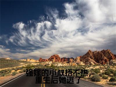 陆昭礼（强嫁的小叔捂不热，重生后她逃了）最新热门小说榜单推荐-陆昭礼最新章节免费阅读