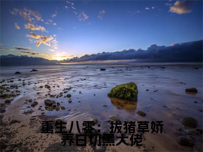 陈晏（重生八零：拔猪草娇养白切黑大佬）全文免费阅读无弹窗大结局_陈晏（重生八零：拔猪草娇养白切黑大佬小说免费阅读）_笔趣阁