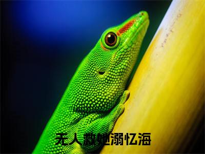 无人救她溺忆海(陆成礼叶雨眠)全文无弹窗大结局_无人救她溺忆海在线阅读无弹窗最新章节列表_笔趣阁