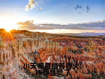 芽芽小说(小天师直播筹香火,神明显灵了)完整版小说阅读_芽芽全本列表免费笔趣阁