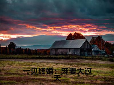 沈子妍小说全文（一见终婚：宠妻大过天）在线阅读-沈子妍全文免费阅读无弹窗大结局（沈子妍后续+免费）