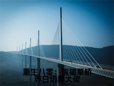 重生八零:拔猪草娇养白切黑大佬(陈晏)老书虫良心推荐小说-重生八零:拔猪草娇养白切黑大佬(陈晏)小说精彩免费试读