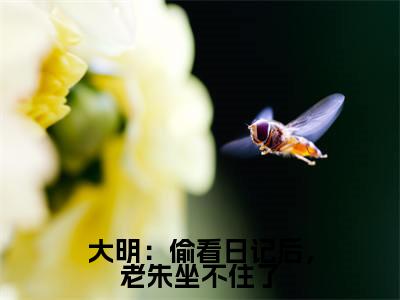 大明:偷看日记后,老朱坐不住了热文小说全文阅读-精彩美文周宣免费阅读