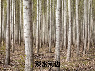 淡水河边（田渔音周成玉）全文免费阅读无弹窗大结局_淡水河边（田渔音周成玉）最新章节列表