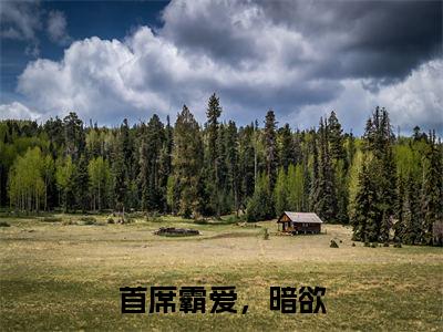 首席霸爱,暗欲全文小说(傅姝寒薄肆)在线阅读无弹窗大结局_傅姝寒薄肆全文在线阅读无弹窗