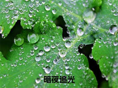 番外+免费小说《暗夜追光》全文免费阅读无弹窗-楚城江舟小说全文在线赏析_笔趣阁