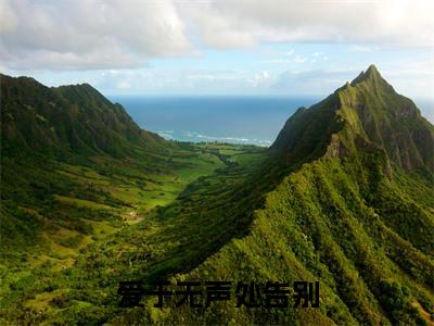 楼宴西宋清栀全文免费阅读_(爱于无声处告别免费阅读无弹窗)楼宴西宋清栀最新章节列表笔趣阁