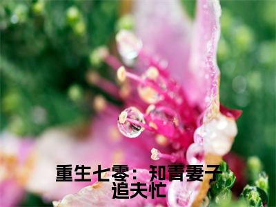 顾旭言周秋梨小说最新章节阅读-重生七零：知青妻子追夫忙全文免费试读