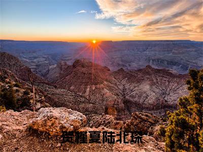 贺槿夏陆北琛（陆北琛贺槿夏全文阅读）陆北琛贺槿夏新书热荐免费小说