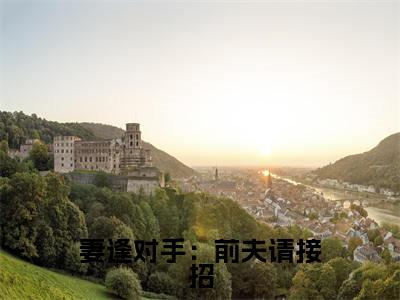 妻逢对手：前夫请接招（傅凉城阮苏）全文免费阅读无弹窗大结局_（傅凉城阮苏）妻逢对手：前夫请接招最新章节列表