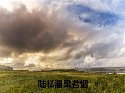 陆忆渊梁茗烟免费阅读（梁茗烟陆忆渊）完整版全文全章节阅读（梁茗烟陆忆渊免费+番外）