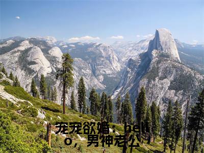 宠宠欲婚：hello，男神老公小说冷墨深安念大结局阅读-新上热文小说宠宠欲婚：hello，男神老公（冷墨深安念）讲的是什么