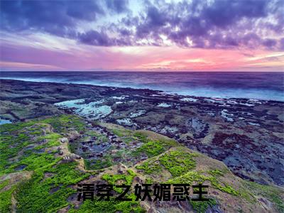 清穿之妖媚惑主（雪梨）精选好书-雪梨无删减版在线阅读（雪梨全文免费阅读）