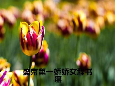盛京第一娇娇女程书凛小说全文免费阅读（苏柒程书凛）全文免费苏柒程书凛读无弹窗大结局盛京第一娇娇女程书凛
