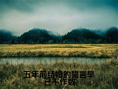 五年前结婚的誓言早已不作数小说(苏觅柔付泽辰)小说全文免费苏觅柔付泽辰读无弹窗大结局笔趣阁(五年前结婚的誓言早已不作数)