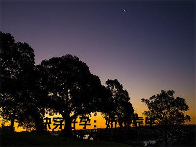 快穿好孕：娇娇靠生子被大佬独宠（林颜）小说免费阅读无弹窗大结局_（林颜阅读无弹窗）最新章节列表