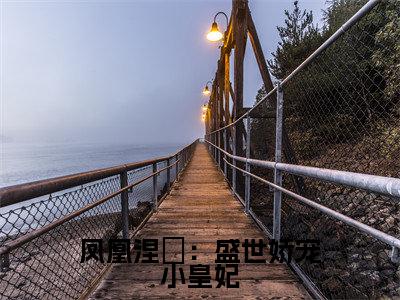 凤凰涅槃：盛世娇宠小皇妃（叶婉）全文免费阅读无弹窗_叶婉最新小说_笔趣阁