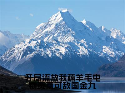 小说开局流放我薅羊毛屯物资富可敌国金九在线阅读-正版小说《金九》开局流放我薅羊毛屯物资富可敌国金九全文阅读